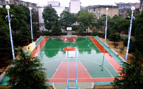 timg (2).jpg timg (2).jpg